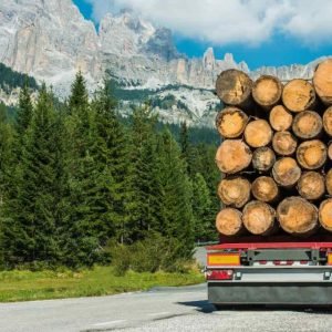 GRUME DE BOIS DE SAPIN 1 CAMION DE 40M3